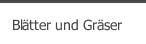 Blätter und Gräser