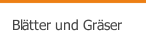 Blätter und Gräser